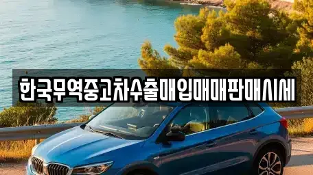 부산 수영구 망미동 중고차,렌트카,중고차매입,중고차매매,장기렌트카,단기렌트카