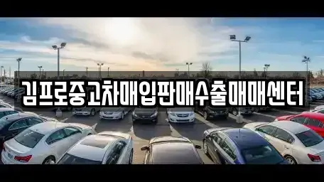 부산 수영구 망미동 중고차매입 전문 김프로중고차매입판매수출매매센터
