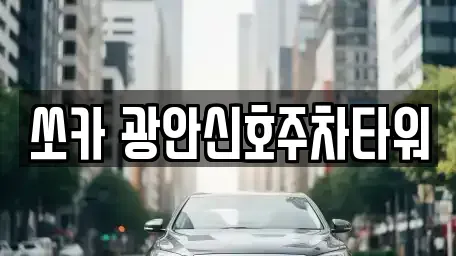 부산 수영구 민락동 렌트카 전문 쏘카 광안신호주차타워