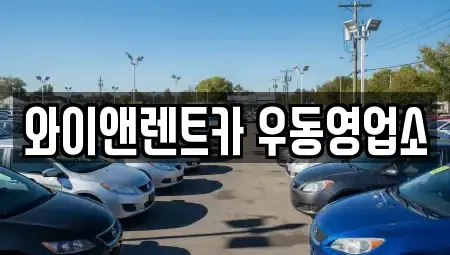 부산 수영구 민락동 장기렌트카 전문 와이앤렌트카 우동영업소
