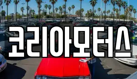 부산 수영구 민락동 중고차 전문 코리아모터스