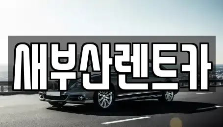 부산 영도구 남항동3가 렌트카 전문 새부산렌트카
