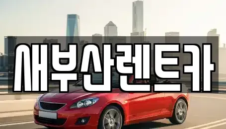 부산 영도구 영선동1가 렌트카 전문 새부산렌트카