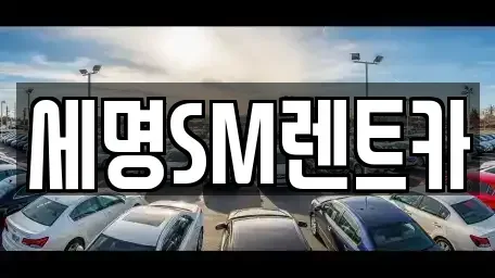 부산 영도구 영선동1가 렌트카 전문 세명SM렌트카