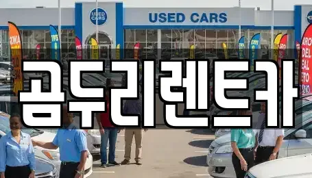 부산광역시 금정구 구서동 렌트카 전문 곰두리렌트카