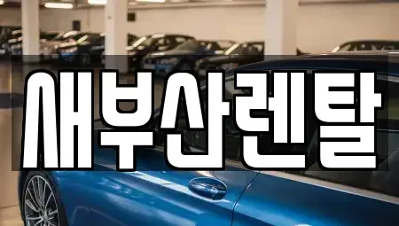 부산광역시 금정구 구서동 렌트카 전문 새부산렌탈