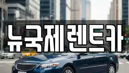 부산광역시 동래구 낙민동 렌트카 전문 뉴국제렌트카