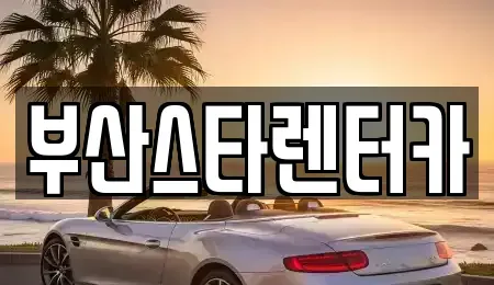 부산광역시 동래구 낙민동 렌트카 전문 부산스타렌터카