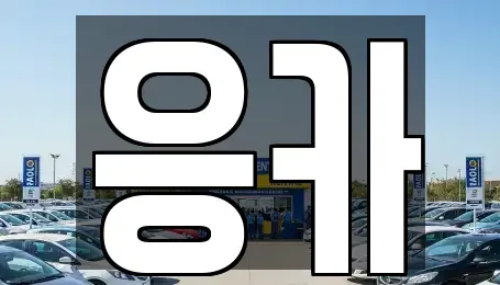 부산광역시 동래구 낙민동 렌트카 전문 응카