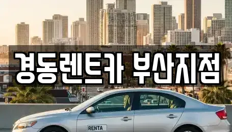 부산광역시 동래구 낙민동 장기렌트카 전문 경동렌트카 부산지점