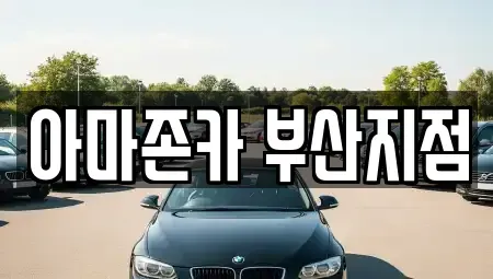 부산광역시 동래구 낙민동 장기렌트카 전문 아마존카 부산지점