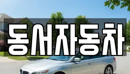 부산광역시 동래구 낙민동 중고차 전문 동서자동차