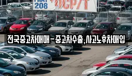 부산광역시 동래구 낙민동 중고차 전문 전국중고차매매-중고차수출,사고노후차매입