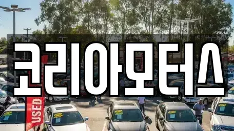 부산광역시 동래구 낙민동 중고차 전문 코리아모터스