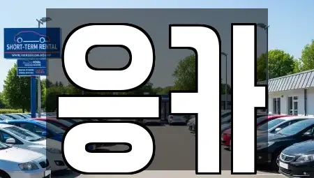 부산광역시 동래구 칠산동 렌트카 전문 응카