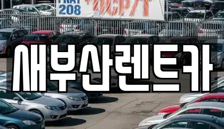 부산광역시 서구 부용동2가 렌트카 전문 새부산렌트카