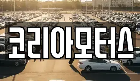 부산광역시 서구 부용동2가 중고차매매,단기렌트카,중고차매입,장기렌트카,중고차,렌트카