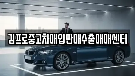 부산광역시 서구 부용동2가 중고차매입 전문 김프로중고차매입판매수출매매센터