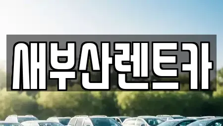 부산광역시 서구 서대신동2가 렌트카 전문 새부산렌트카