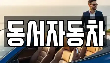 부산광역시 서구 서대신동2가 중고차매매 전문 동서자동차