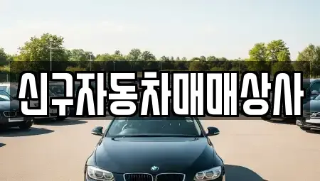부산광역시 서구 서대신동2가 중고차매매 전문 신구자동차매매상사