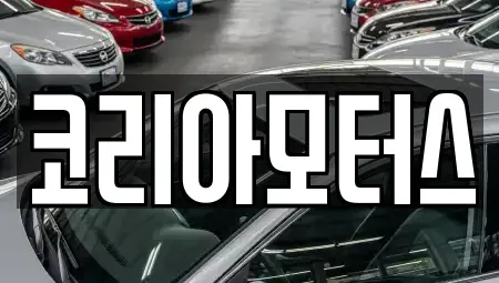 부산광역시 서구 서대신동2가 중고차매매 전문 코리아모터스