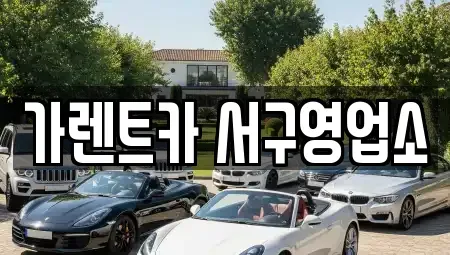 부산광역시 서구 아미동1가 렌트카 전문 가렌트카 서구영업소