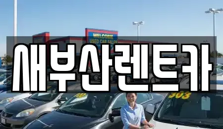 부산광역시 서구 아미동1가 렌트카 전문 새부산렌트카