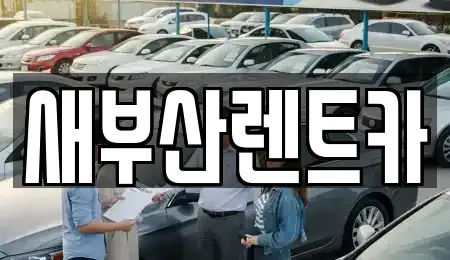 부산광역시 서구 아미동1가 렌트카 전문 새부산렌트카