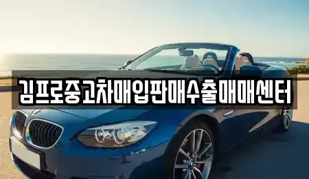 부산광역시 서구 아미동1가 중고차 전문 김프로중고차매입판매수출매매센터
