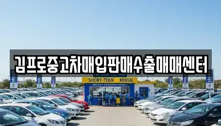 부산광역시 서구 아미동1가 중고차 전문 김프로중고차매입판매수출매매센터