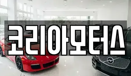 부산광역시 서구 아미동1가 중고차 전문 코리아모터스