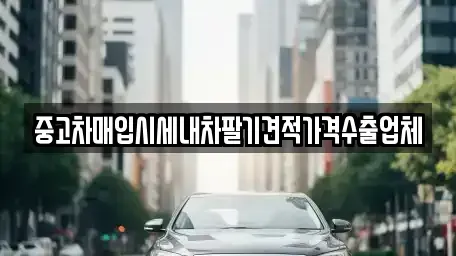부산광역시 서구 아미동1가 중고차매입 전문 중고차매입시세내차팔기견적가격수출업체