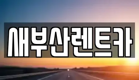 부산광역시 서구 토성동4가 렌트카 전문 새부산렌트카