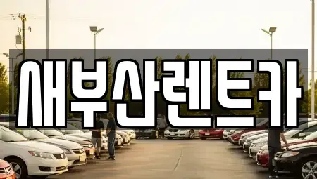 부산광역시 영도구 영선동4가 렌트카 전문 새부산렌트카