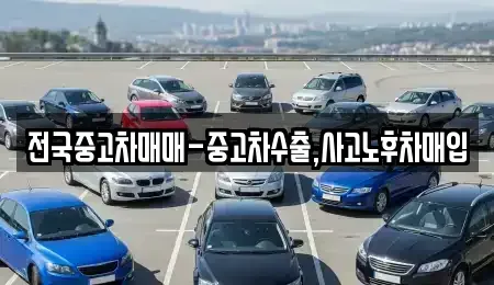 서울 강서구 가양동 중고차매입 전문 전국중고차매매-중고차수출,사고노후차매입