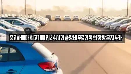서울 강서구 가양동 중고차매입 전문 중고차매매최고가매입24시간출장비무료견적현장방문지누카