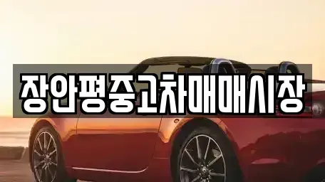 서울 노원구 중계동 중고차 전문 장안평중고차매매시장