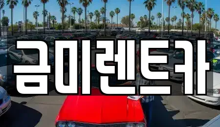 서울 마포구 아현동 렌트카 전문 금미렌트카