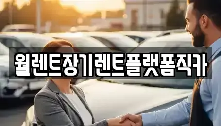 서울 서대문구 신촌동 렌트카 전문 월렌트장기렌트플랫폼직카