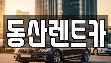 서울 서초구 원지동 렌트카,단기렌트카,장기렌트카,중고차,중고차매매,중고차매입