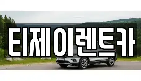 서울 서초구 원지동 렌트카 전문 티제이렌트카