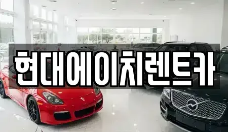 서울 서초구 원지동 렌트카 전문 현대에이치렌트카