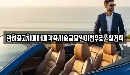 서울 서초구 원지동 중고차 전문 관허중고차매매매각즉시송금당일이전무료출장견적