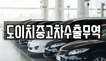 서울 서초구 원지동 중고차 전문 도이치중고차수출무역