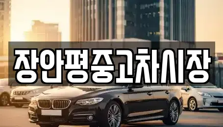 서울 서초구 원지동 중고차 전문 장안평중고차시장
