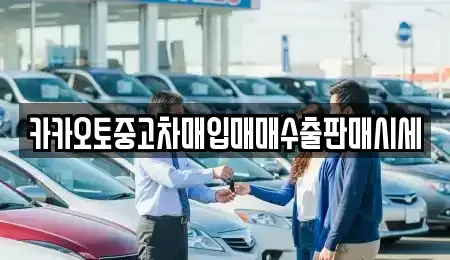 서울 서초구 원지동 중고차 전문 카카오토중고차매입매매수출판매시세