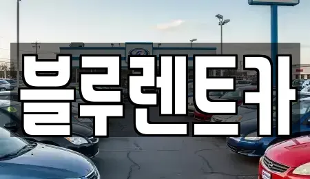 서울 성동구 금호동2가 렌트카 전문 블루렌트카