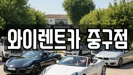서울 성동구 금호동2가 렌트카 전문 와이렌트카 중구점