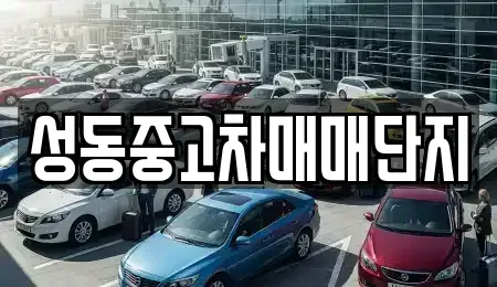 서울 성동구 금호동2가 중고차 전문 성동중고차매매단지